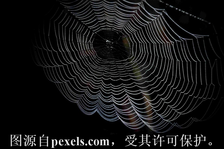 适合现在网站配置的云服务器-云小二