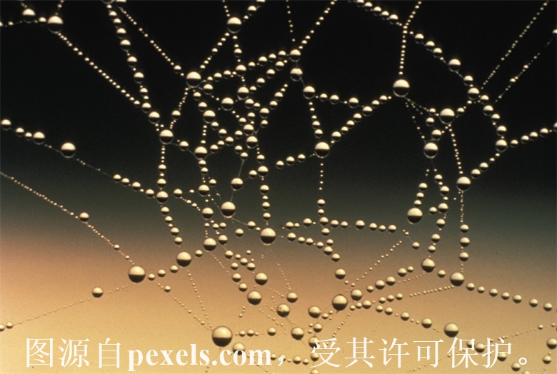 云服务器添加高防ip-云小二