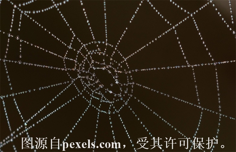 被删除的域名都可以注册吗_云小二