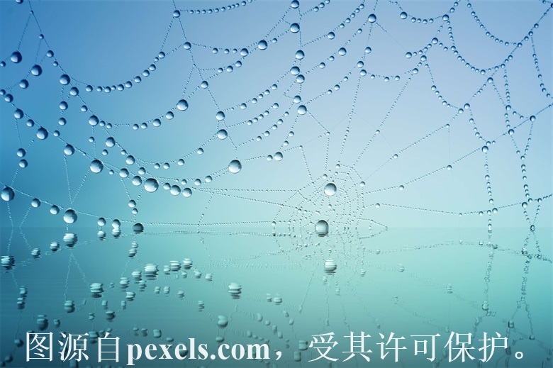 域名注册多久可以抢注