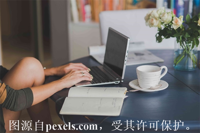 注册域名的交易平台是