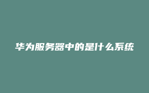 云小二：华为服务器中的是什么系统