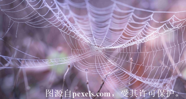 兰州做域名注册的公司有哪些