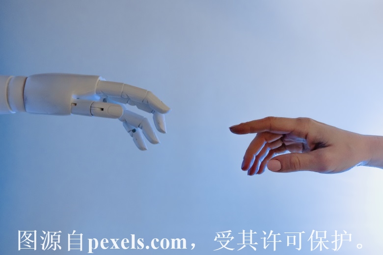 域名注册成功哪里看密码_云小二