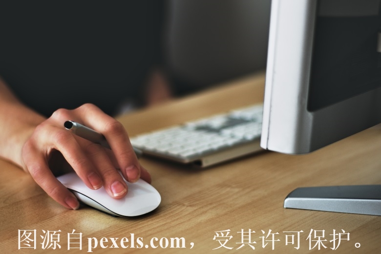 安徽域名注册机构查询