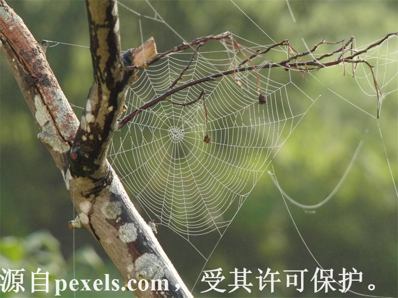 别人域名到期了为什么不能注册