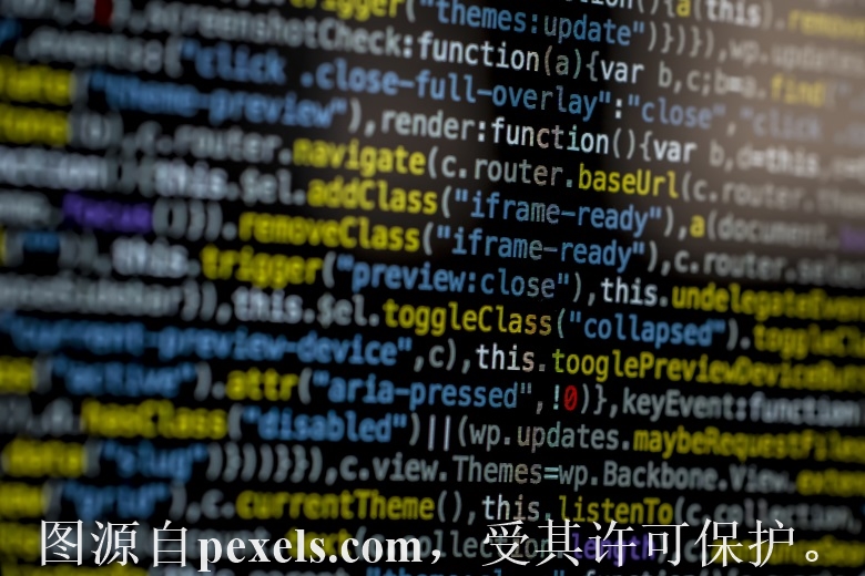 域名注册人证件类型及证件号码信息_云小二