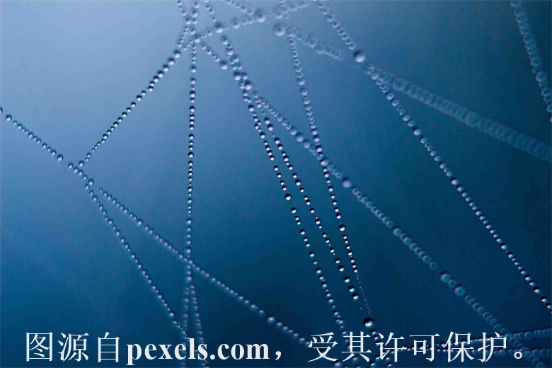 大连cc域名在哪注册啊