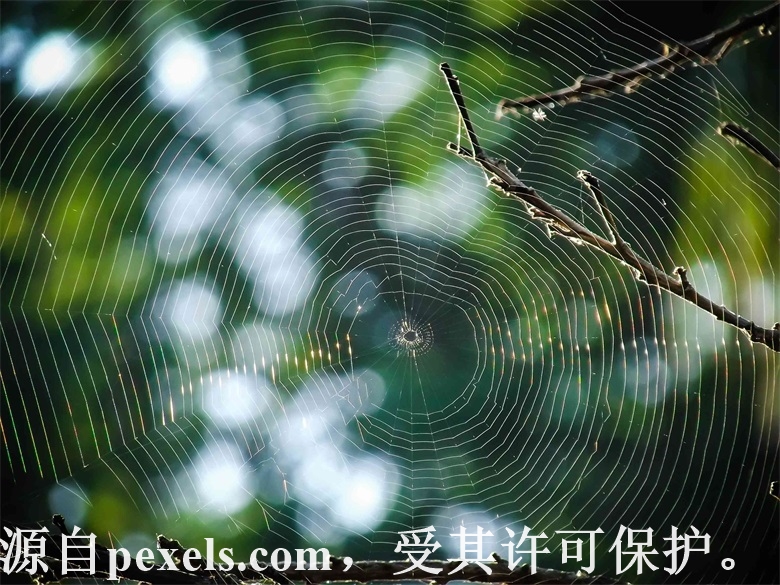 哪个网站查域名有没有注册的软件