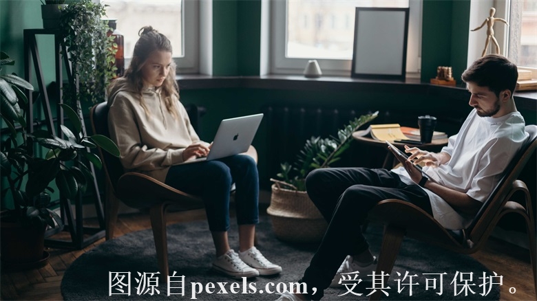 顶级域名的注册规则