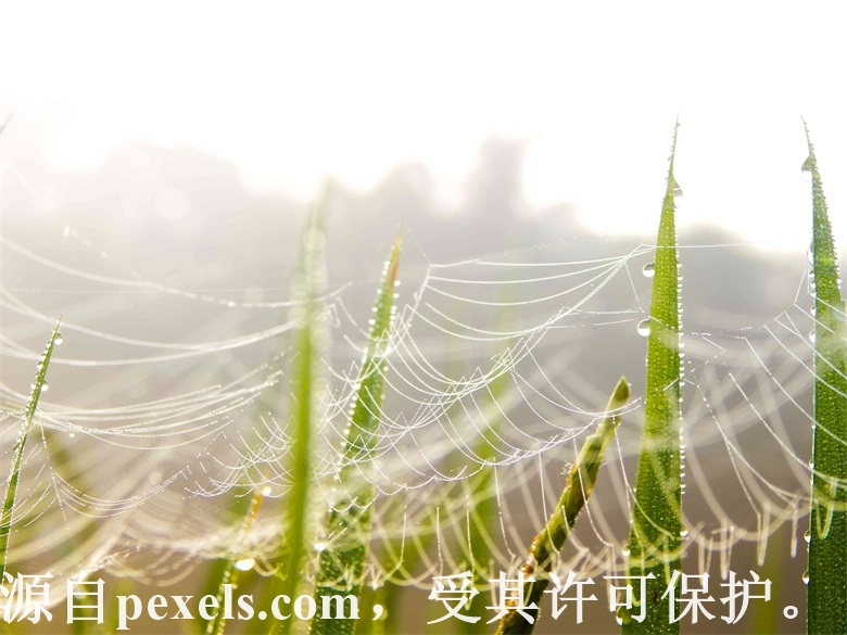 域名注册过的机构