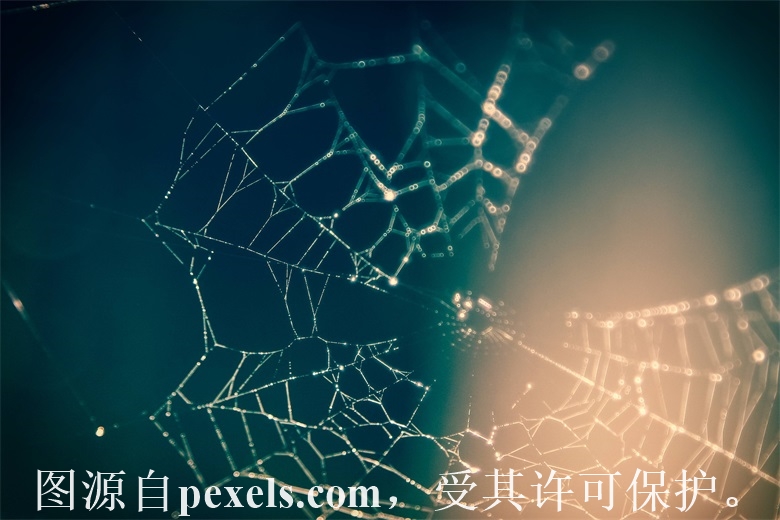 哈尔滨注册域名办理机构
