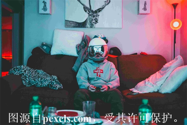 域名是谁注册