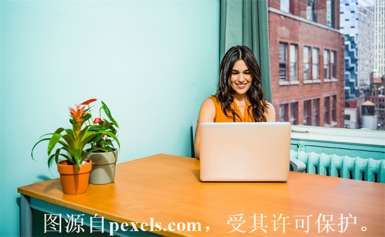 全网中文域名注册保护