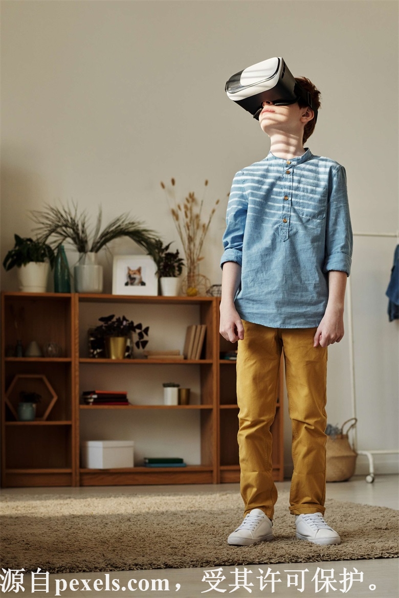 上海域名注册查询服务商信息