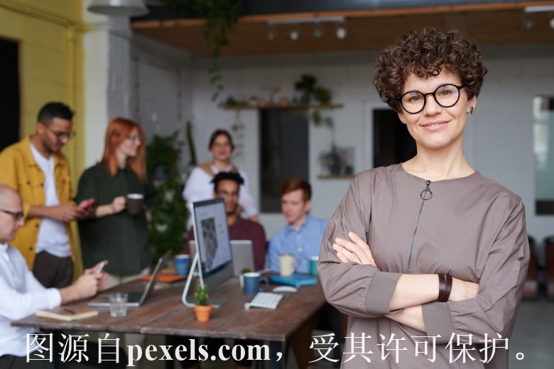 域名注册企业信息查询系统