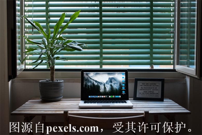 如何查找域名的注册者