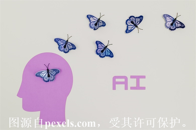 广州免费网站域名注册