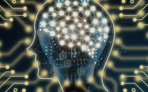 域名注册实名认证网站查询
