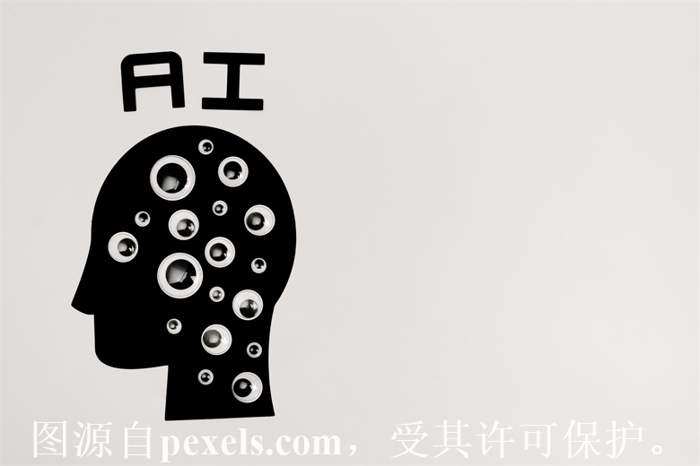 杂米域名是什么时候开始注册