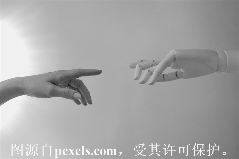域名注册流程和条件是什么