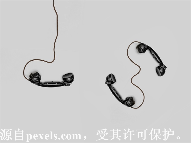 怎么查域名注册人员名单