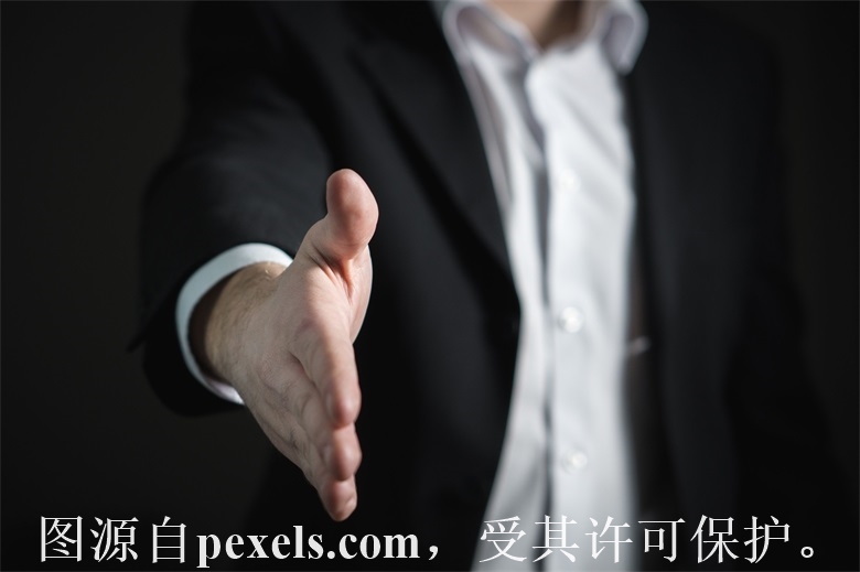 注册域名的信息怎么查询