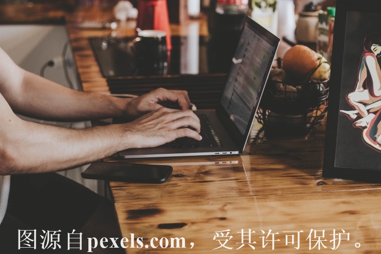 域名注册者查询