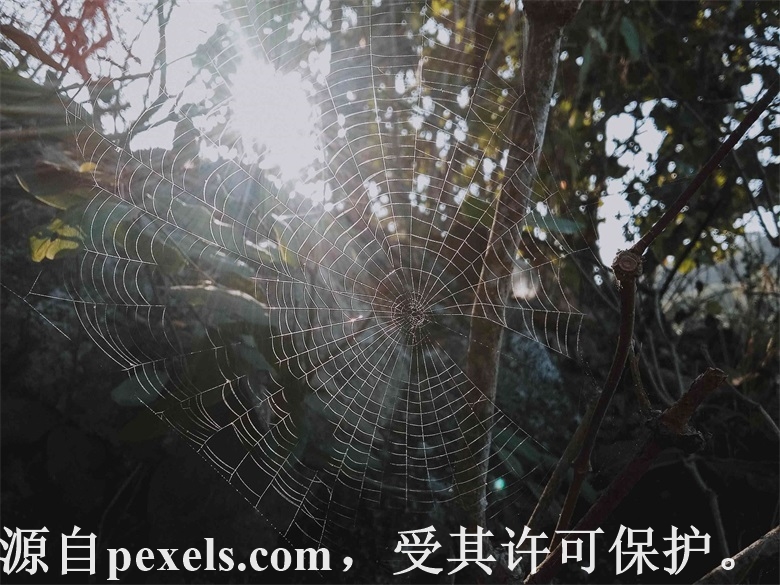 域名注册网