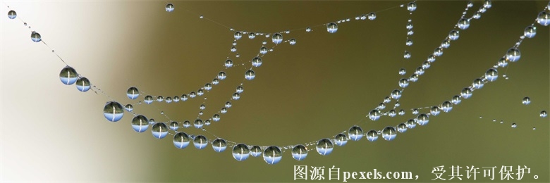 专业com域名在哪注册