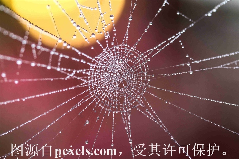 注册姓名全拼域名值得么