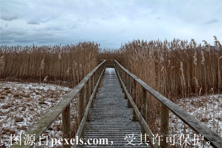域名注册需要提供什么手续